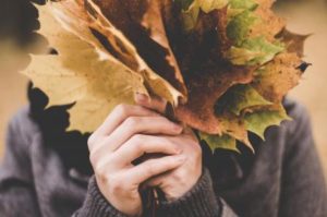 leafes 
